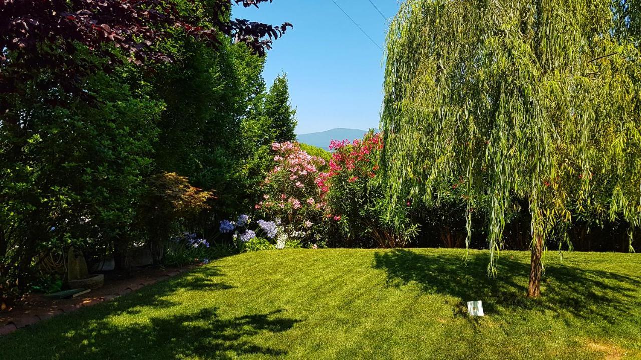 Asso Bed & Breakfast Manerba del Garda Eksteriør billede
