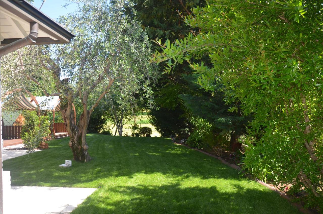 Asso Bed & Breakfast Manerba del Garda Eksteriør billede